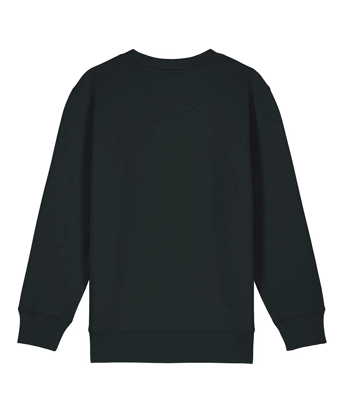 Kids Mini Changer 2.0 iconic crew neck sweatshirt (STSK181) view 2